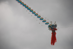Harewood2008-038