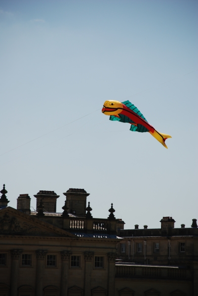Harewood2009-022