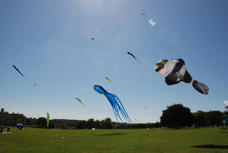 Harewood2009-030