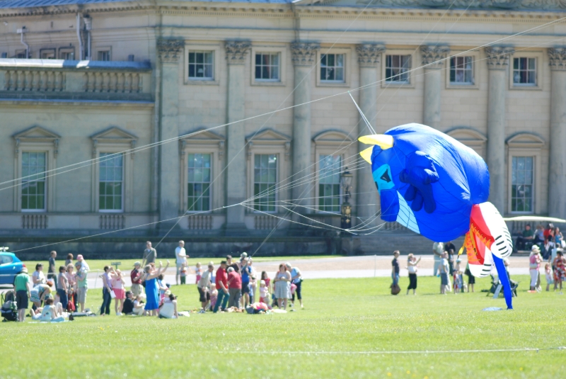 Harewood2009-037