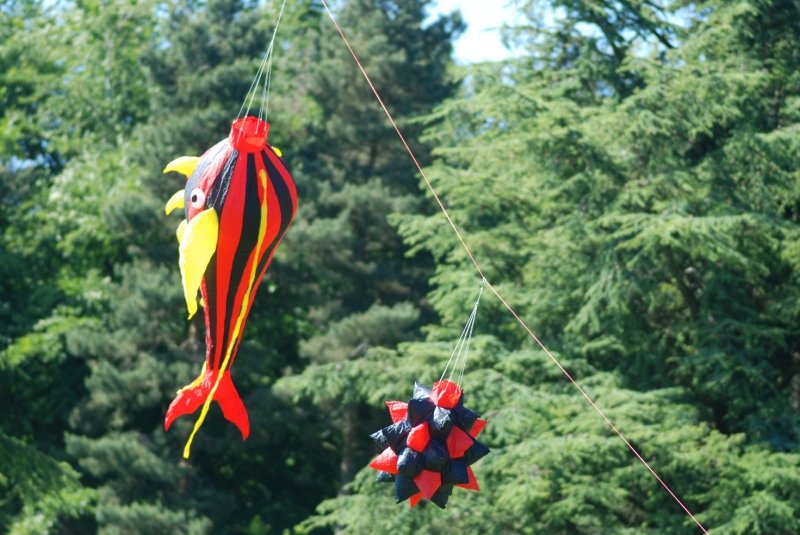 Harewood2009-039