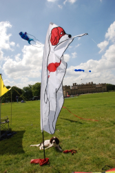 Harewood2009-010