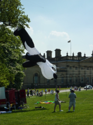 Harewood2010-023
