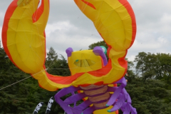 Harewood House 2011