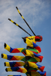 HarewoodAutumn2007-008