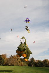 HarewoodAutumn2007-022