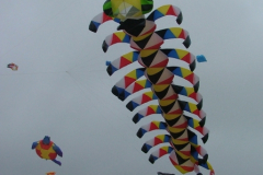 Harrogate 2005