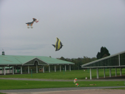 Harrogate2006-015