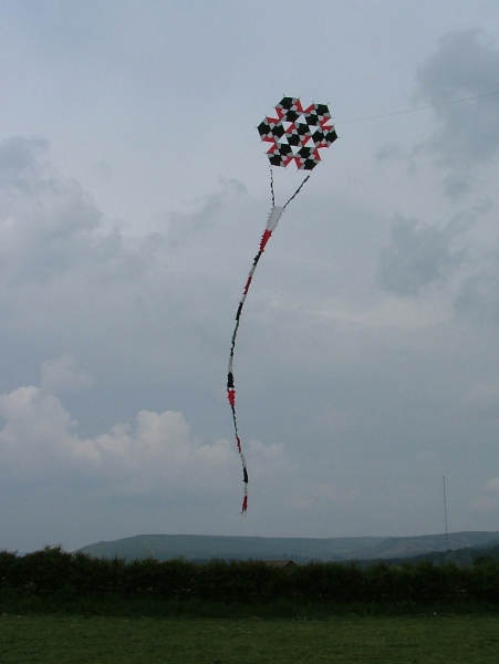 Hawes2007-009