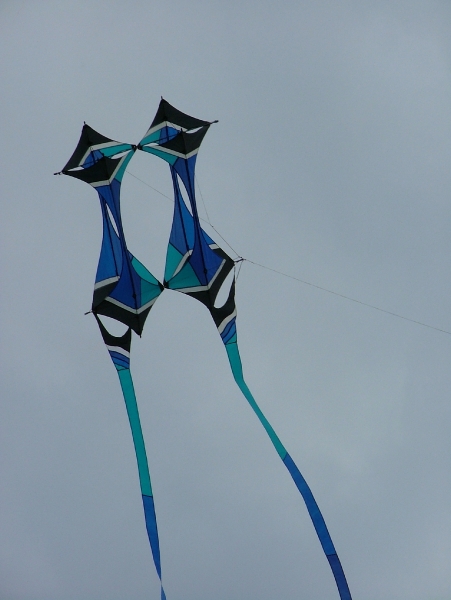 Hawes2007-018