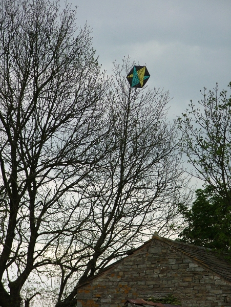 Hawes2007-025