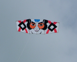 Hawes2007-002