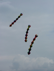 Hawes2007-003