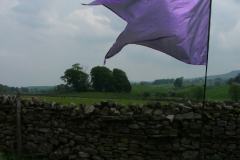 Hawes 2007