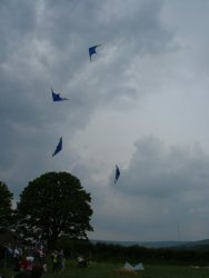 Hawes2007-011