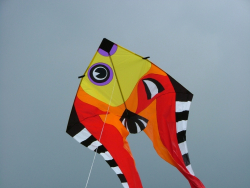Hawes2007-015
