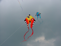 Hawes2007-017