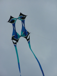 Hawes2007-018