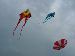 Hawes2007-020