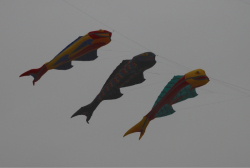 HeatonPark2008-001