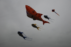 HeatonPark2008-022
