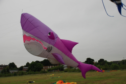 HeatonPark2008-025