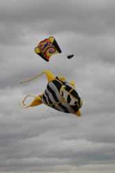 HeatonPark2008-037