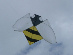Hereford2004-002