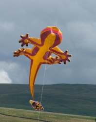 HighForce2004-017