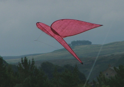 HighForce2005-025