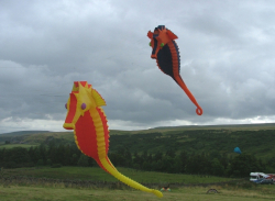 HighForce2005-043