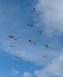 HighForce2005-046