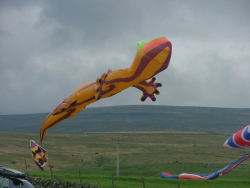 HighForce2006-010
