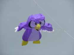 HighForce2006-017