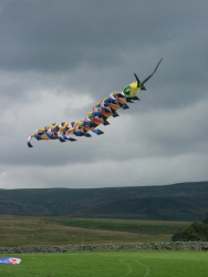 HighForce2006-021