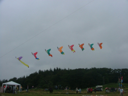 HighForce2006-022