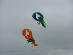 HighForce2006-027
