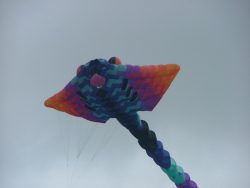 HighForce2006-031