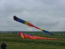HighForce2006-036