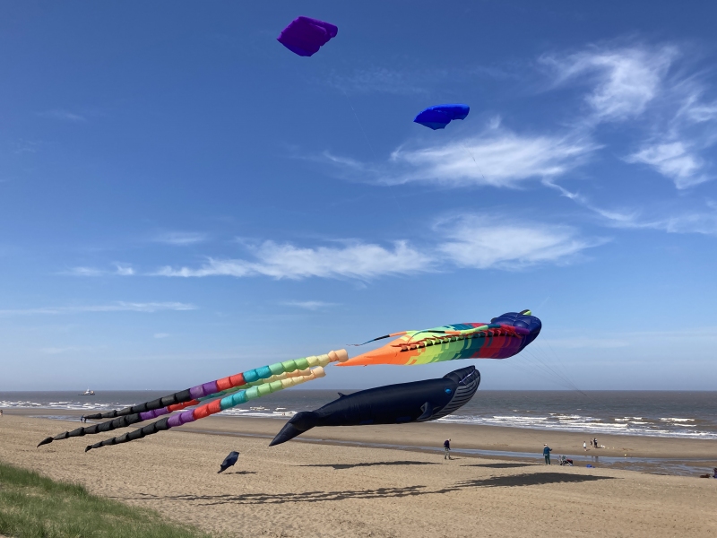 Huttoft2021-019