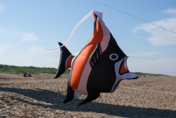 Huttoft2021-023