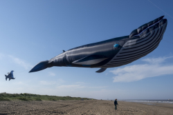Huttoft2021-027