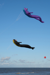 Huttoft2022-009