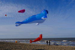 Huttoft2022-039