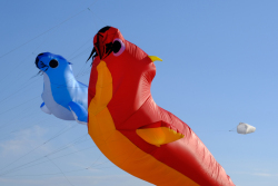 Huttoft2022-041