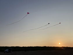 Huttoft2022-060