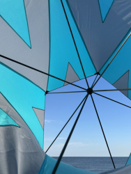 HuttoftAugust2025-006