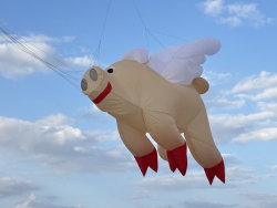 HuttoftAugust2025-016