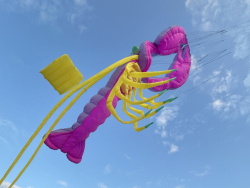 HuttoftAugust2025-024