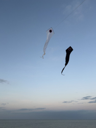 HuttoftAugust2025-025